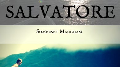 Salvatore Summary And Analysis Litbug