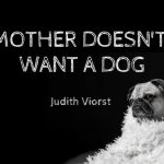 Mother doesn't want a dog by Judith Viorst