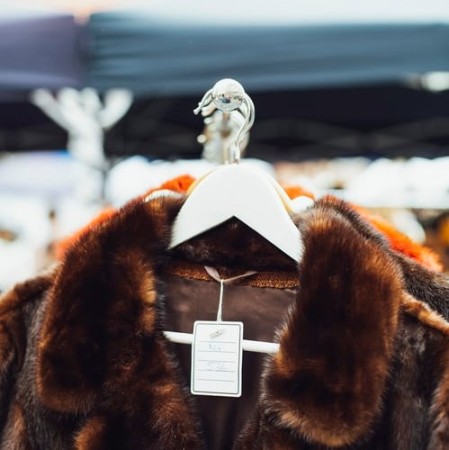the fur coat summary and analysis