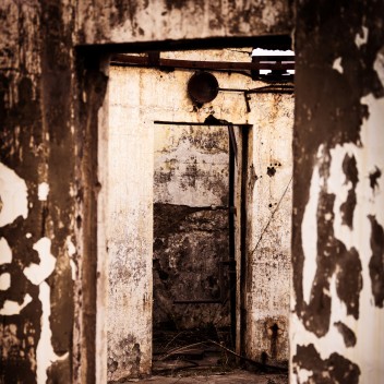Morning in the Burned House Analysis