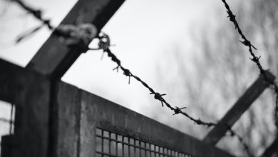 synopsis of book hamnet Borders Thomas King Summary