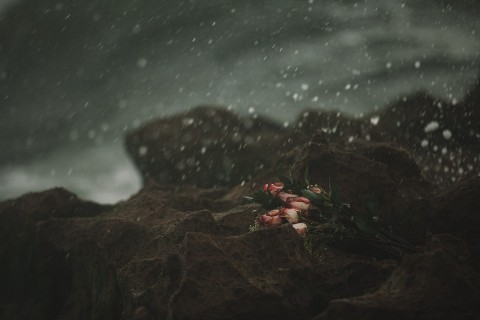 death constant beyond love summary
