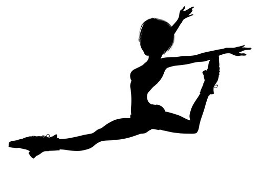 the leap story summary