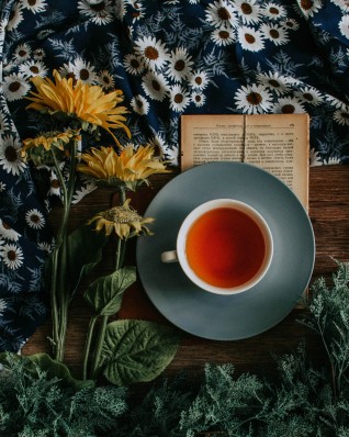 a cup of tea summary