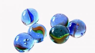 synopsis of book hamnet the marble champ summary