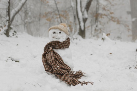 the trouble with snowmen analysis