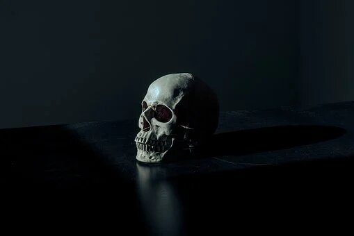 death in the woods