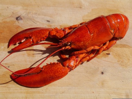 david foster wallace lobster
